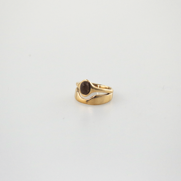 Hugo Ring, photo 10
