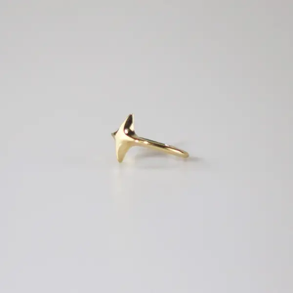 Minimalist Gold Plated Star Ring, photo 3