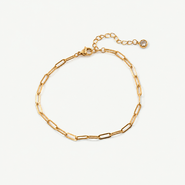 Paperclip Chain Anklet