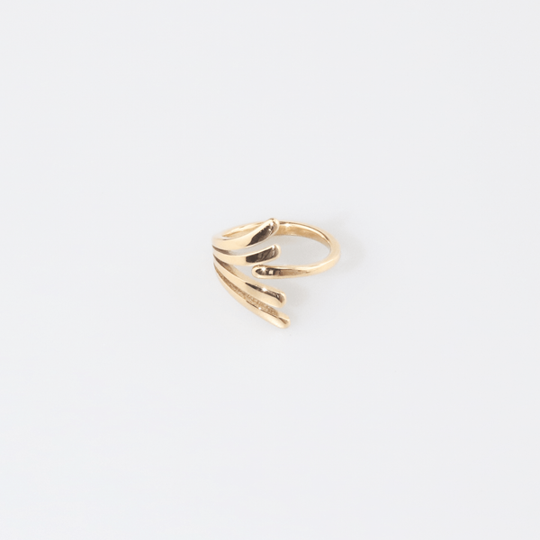 Angel Wing Ring, photo 3