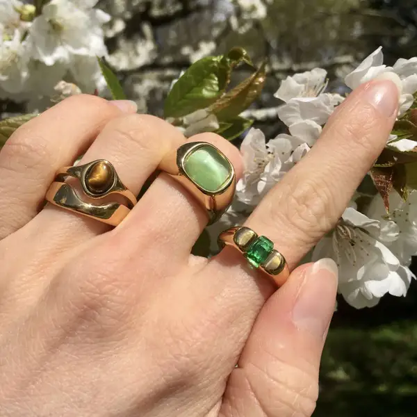 Hugo Ring, photo 4