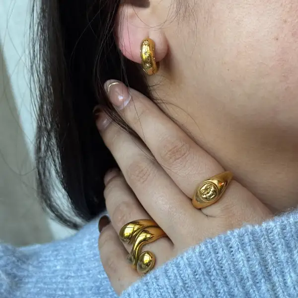 Stainless Steel Gold Hoop Earrings with Star Details, photo 5